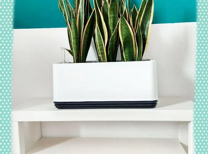 37 Гёттинген